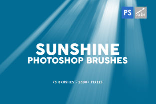 75 Sunshine Photoshop Stamp Brushes and 75 Brushes Inside – A Creative Powerhouse for Designers