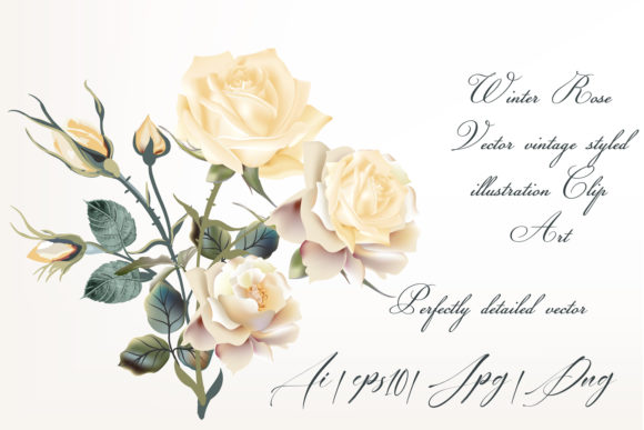Beige Rose Vector High Detailed Clip Art