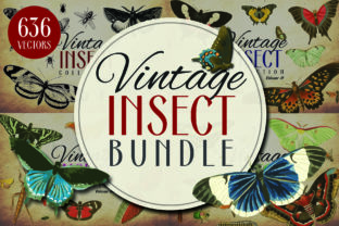 Discover the Insect Vector Graphics Bundle