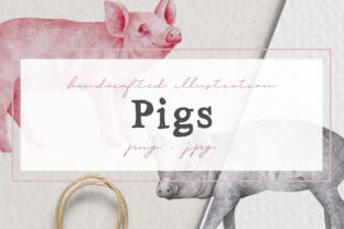 Hand Drawn Pigs Illustrations: A Creative Resource for Designers and Artists