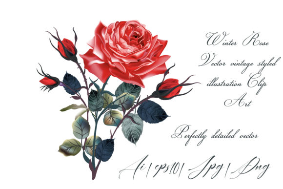 Red Rose Vector High Detailed Clip Art: A Versatile Resource for Creative Projects