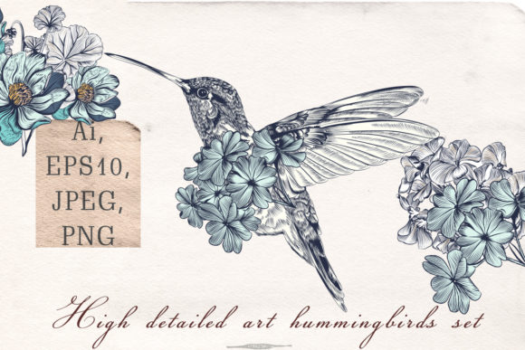 Vector Hummingbirds for Creative Projects